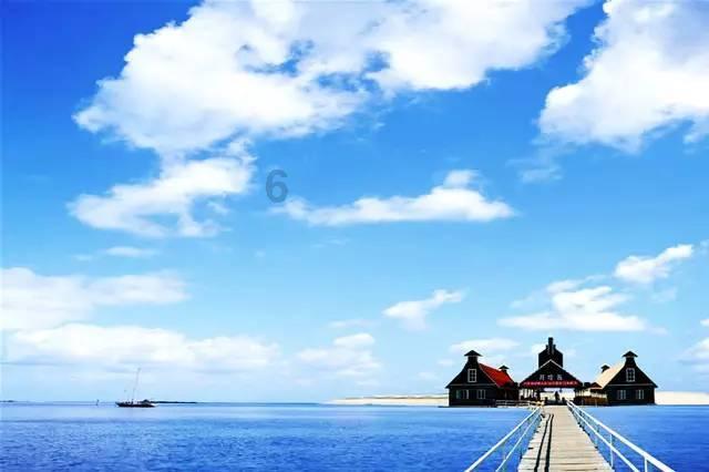 医师资格证代码141与142